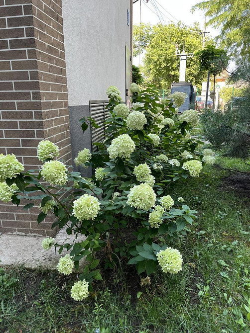 1 квартира Одеса - фото 4