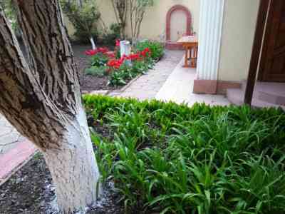 Продаж земельної ділянки 0.1 соток на переулок Ванный, 8/5 Одеса