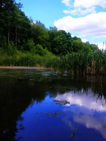 For sale land plot  area 13 ares Миру вулиця  - photo 5