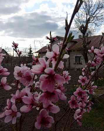 Продаж будинку у В.Березовиця Velikaya Berezovica