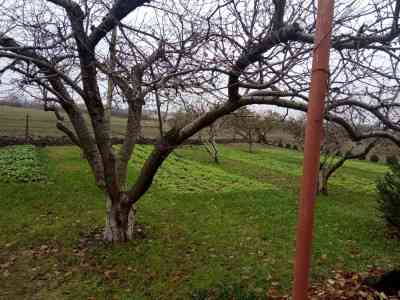 Продаж земельної ділянки 0.1 соток на ул. Кирова, 65 Іллінка