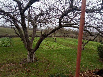 Продаж земельної ділянки 10 соток на ул. Кирова, 65 Іллінка - фото 3