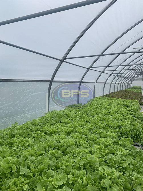 Продаж земельної ділянки 4.63 га Олександрівка - фото 2