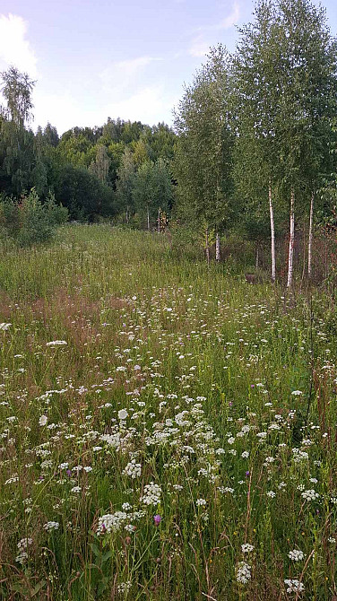 Продаж земельної ділянки 25 соток Uzhhorod - photo 4