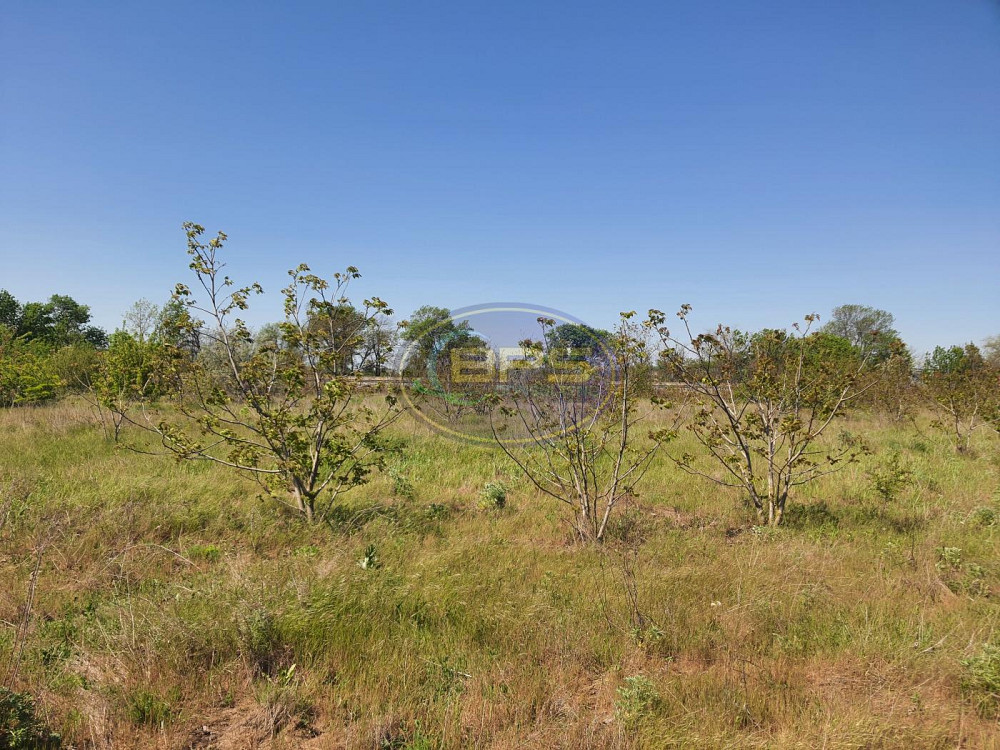 Продаж земельної ділянки 13.9 га на вул. Шахтарська Велика Балка - фото 3