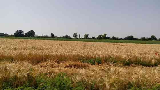 Продаж земельної ділянки 10 соток на АН Купи Дім Кропивницький