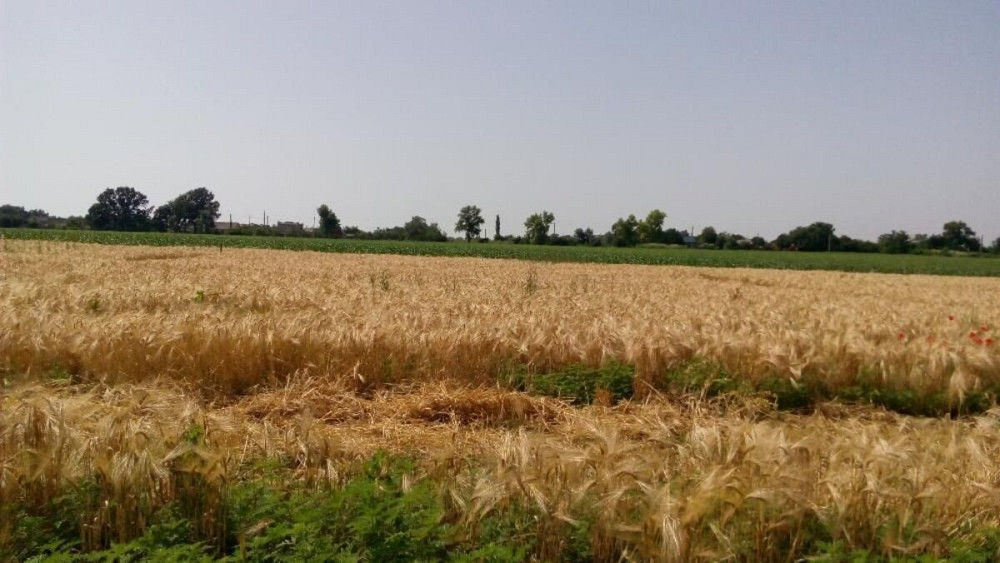 Продаж земельної ділянки 10 соток на АН Купи Дім Кропивницький - фото 2