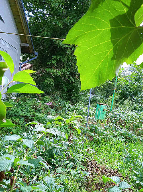 Продаж Будинок на Копана Іванівці - фото 10