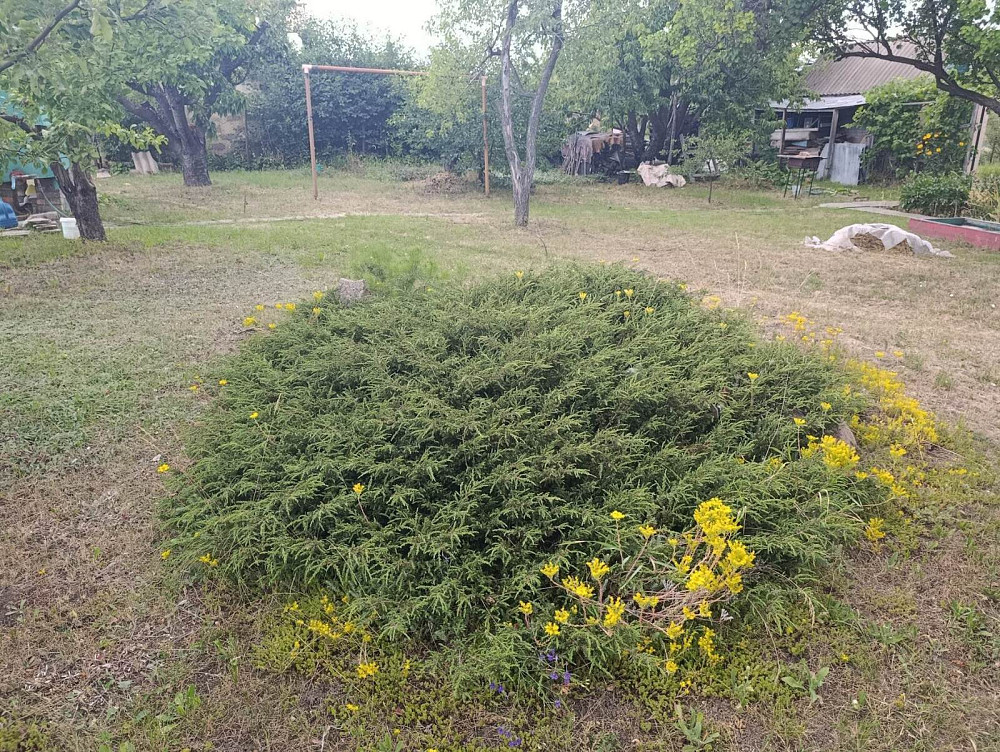 Продам дачу С.Т. Ятрань Кропивницький - фото 4