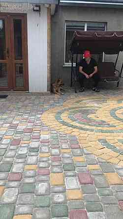 Продаж Будинок 8-кімнатний Зборов