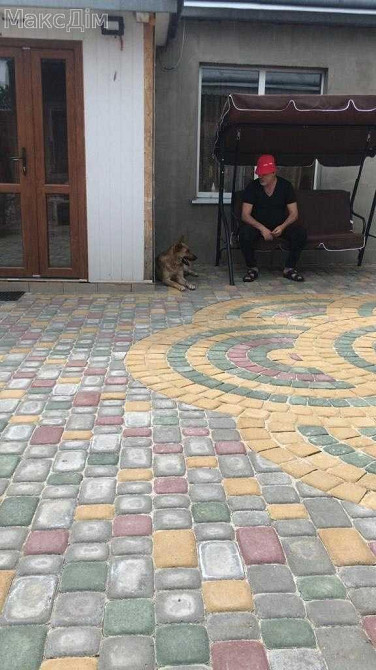 Продаж Будинок 8-кімнатний Zborov - photo 4