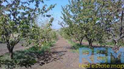 Дом в Петровке Mala Petrivka