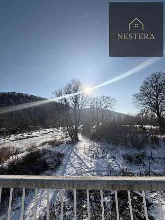 Продаж Будинок Невицьке