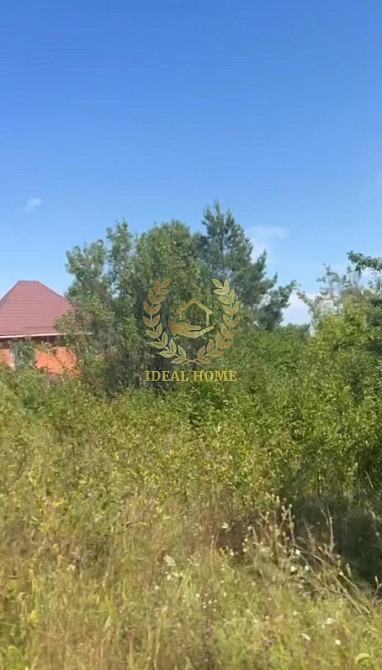 Продаж земельної ділянки 12 соток Ходосівка - фото 4