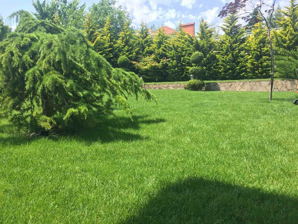 Оренда Будинок Одесса - изображение 5