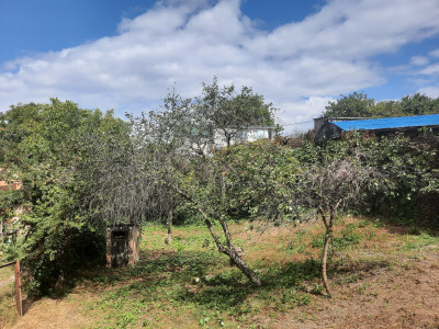 Продаж земельної ділянки 4 соток на ул. Зеленая Балка, 113 Одесса - изображение 2