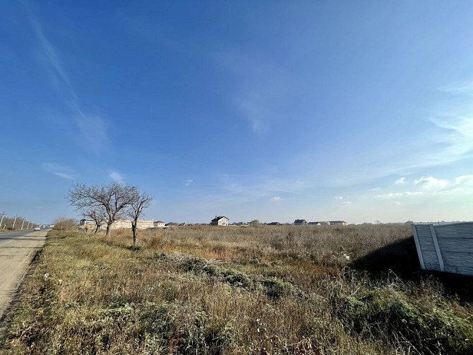 Совіньйон, вулиця Люстдорфська дорога Одеса - фото 2