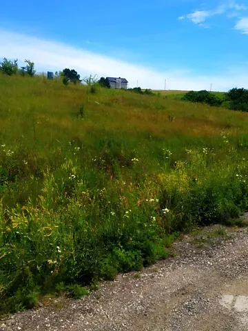 Продажа земельного участка  площадь 6 сот Вербицького вулиця  - изображение 3