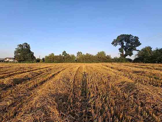 Продаж земельної ділянки 1 га Sadky