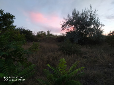 Продаж земельної ділянки 0.1 соток на ул. Прицеповская, 7 Протопопівка - фото 1