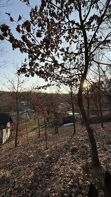 Продаж земельної ділянки 71.8 соток на Шевченка Посіч - фото 4