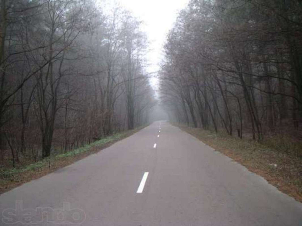 Продаж земельної ділянки 10 соток  - фото 3