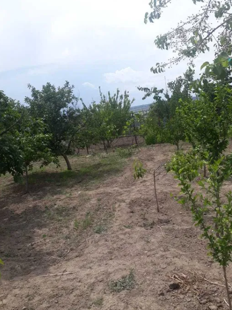 Продам дом в с. Мариновка Маринівка - фото 17