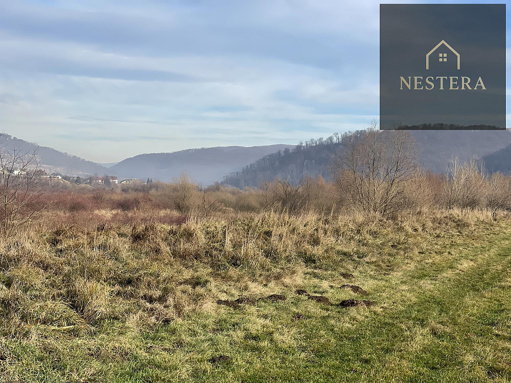 Продаж земельної ділянки 60 соток Кам'яниця - фото 5