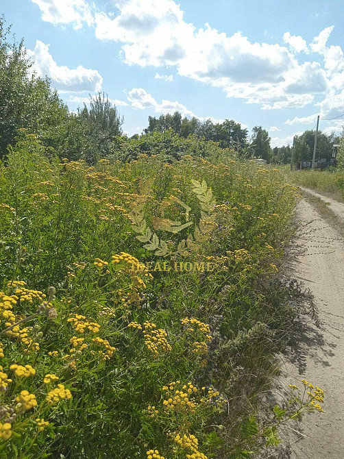 Продаж земельної ділянки 2.49 соток Kiev - photo 3