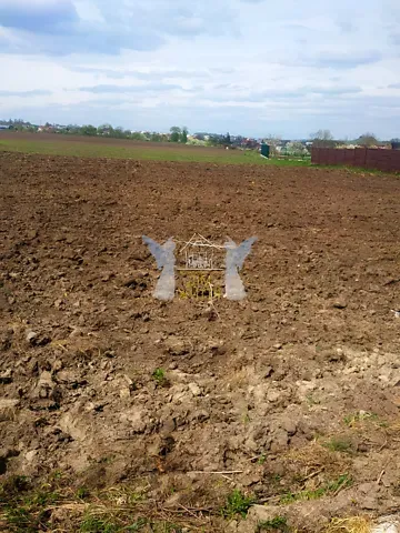 Продажа земельного участка  площадь 18 сот Набережна вулиця  - изображение 2