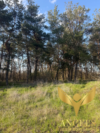 Продаж земельної ділянки Для будівництва приватного житлового будинку площа 9.1 сот H73C+J5, Кіровоградська міськрада, Кіровоградська область, 25000 Кропивницький