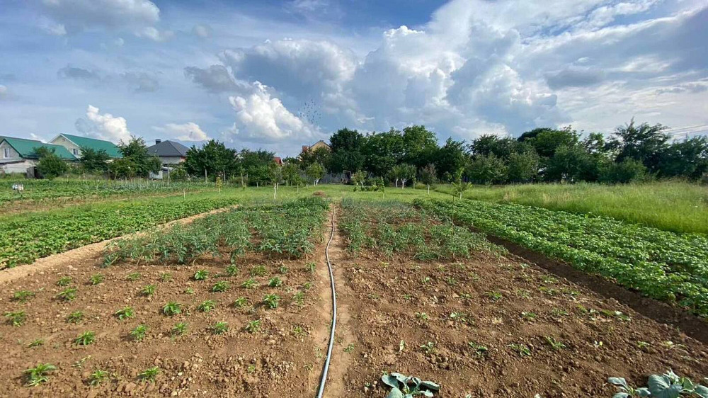 Продаж будинку біля Ужгороду! Pidhorb - photo 16