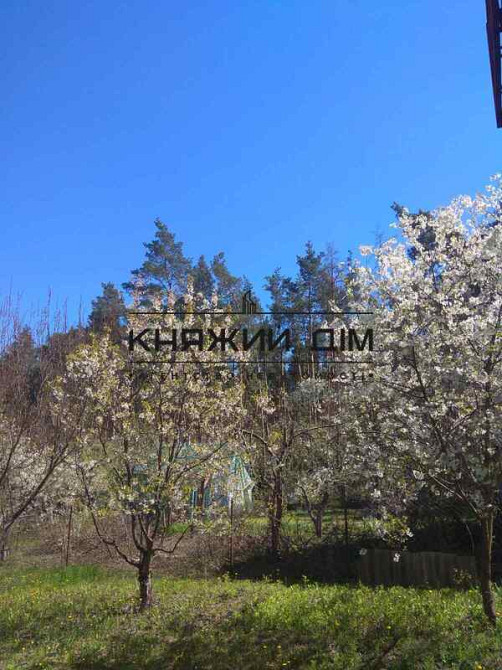 Продажа дачного домика в СТ Авиатор с. Николаевка Макаровский р-н. № 2210701  - фото 5