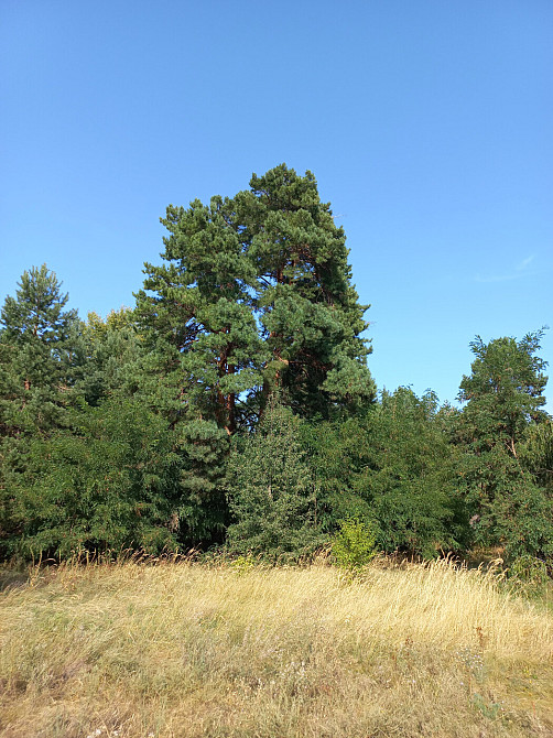 Продаж земельної ділянки 7.6 га на улица Днепровская, д. Канев - изображение 19