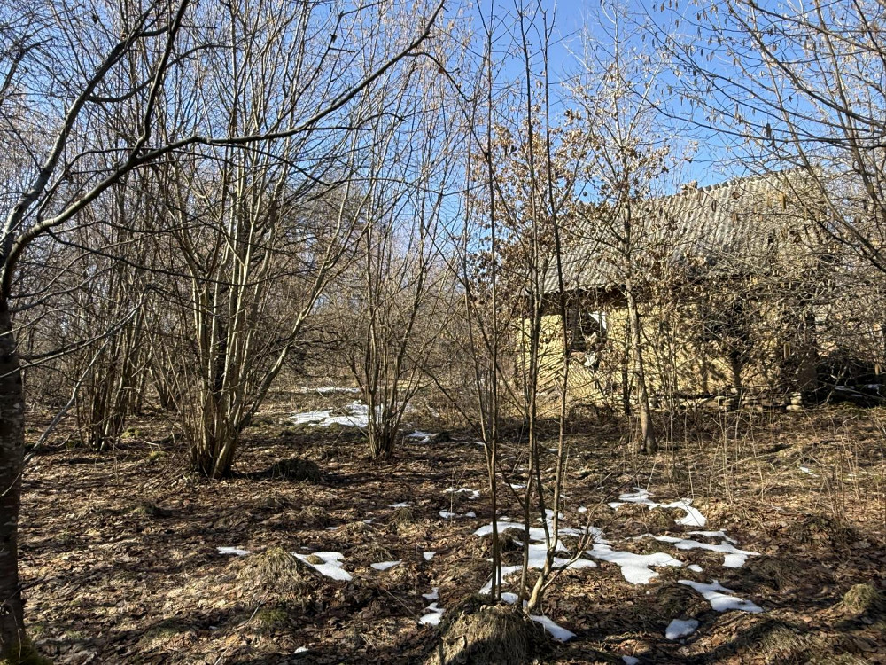 Продаж земельної ділянки 98 соток Verkhnie Synovydne - photo 15