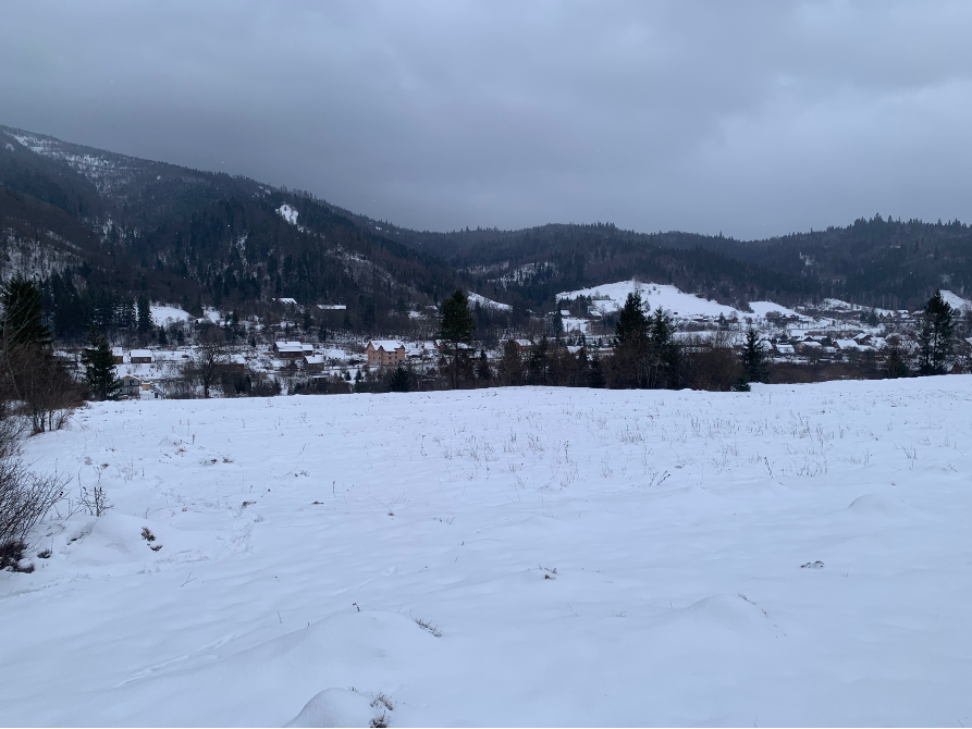 Продажа земельного участка Для строительства частного жилого дома площадь 0.49 сот Вул Зелена Тухля - изображение 2