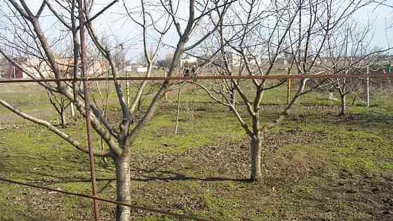 Продаж земельної ділянки 0.1 соток на ул. Ясная, 19 Усатове