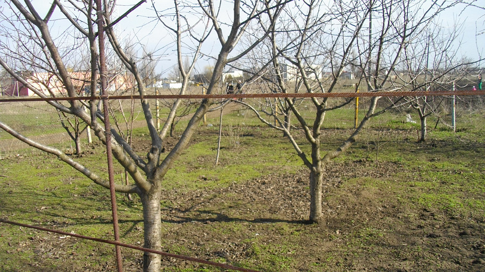 Продаж земельної ділянки 0.1 соток на ул. Ясная, 19 Усатове - фото 2