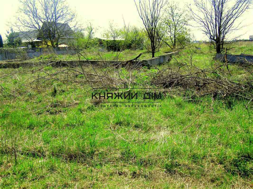 Продаж земельної ділянки 25 соток на Молодежная Семиполки - изображение 4
