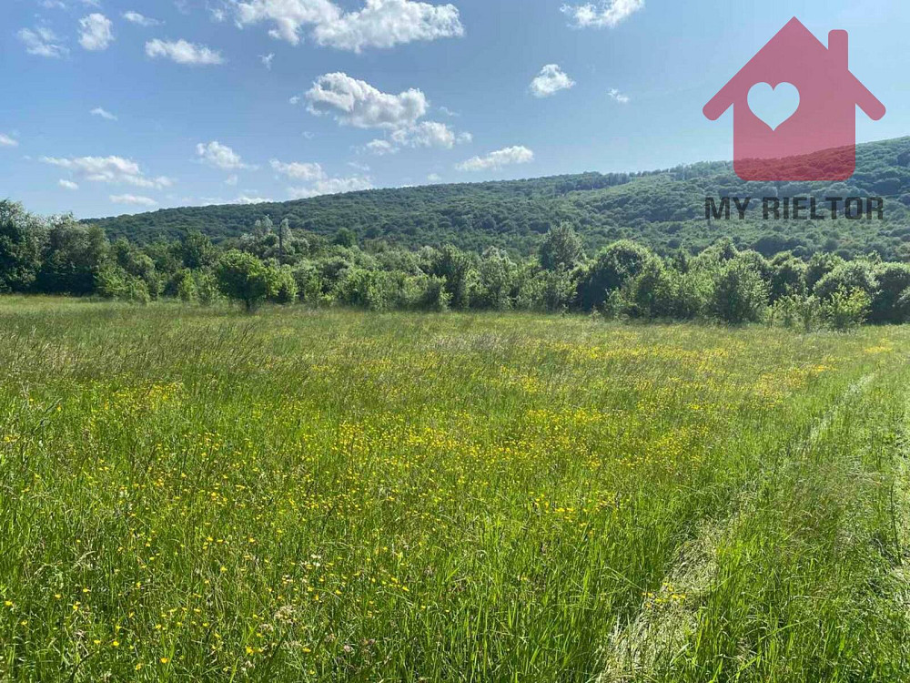 Продаж земельної ділянки 29 соток на Ублянська Malyi Bereznyi - photo 1