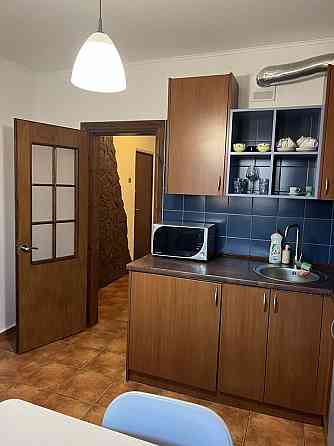 Оренда Квартира 1-кімнатна, 13/16 поверх на вул. Лариси Руденко, 21 Київ