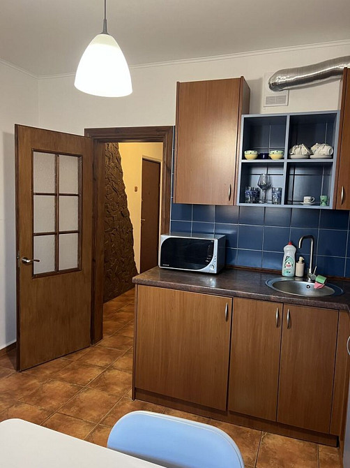 Оренда Квартира 1-кімнатна, 13/16 поверх на вул. Лариси Руденко, 21 Київ - фото 5