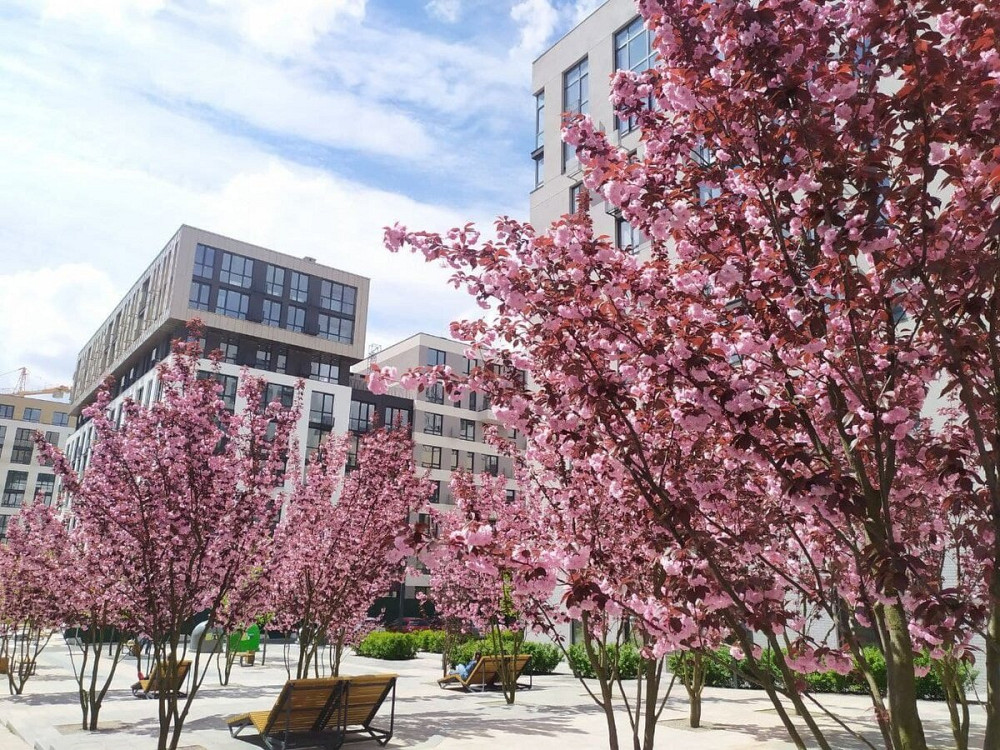 Оренда Квартира 1-кімнатна, 2/16 поверх на Салютная ул., 2 Киев - изображение 6