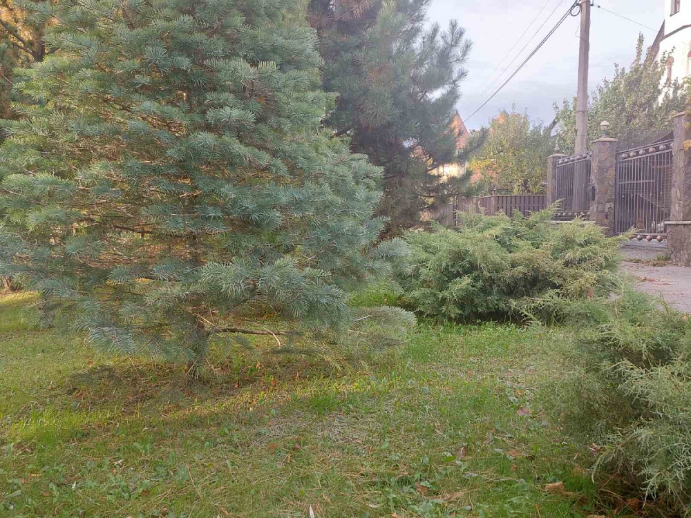 Продаж Будинок на садовое товарищество - Джерело  - изображение 13