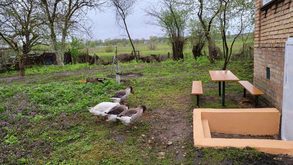 Продаж Будинок на садовое товарищество - Трудовик  - изображение 8