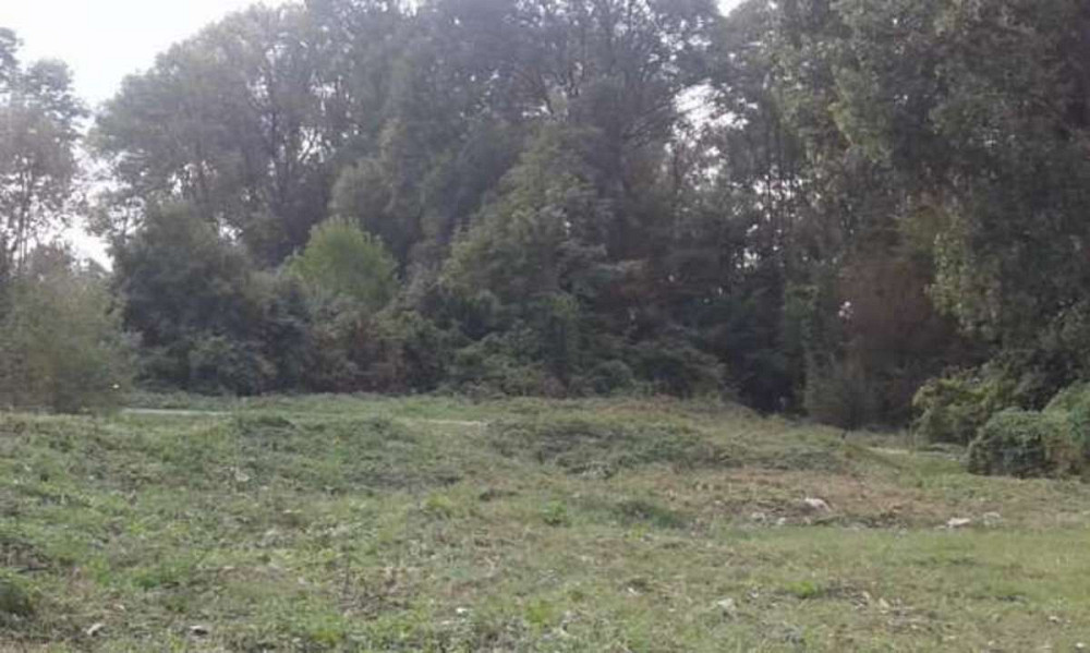 Продаж земельної ділянки 20 соток Іванків - фото 1