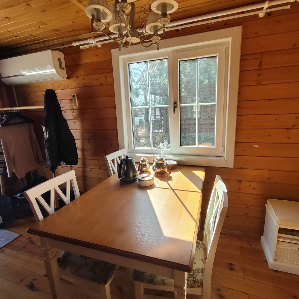 Дом-дача в с. Маяки, на берегу реки - первая линия. Маяки (Біляївський район) - фото 7