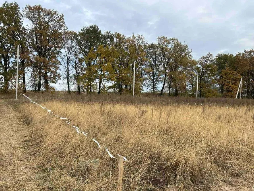 Продажа земельного участка Для строительства частного жилого дома площадь 50.8 сот Солов'їна Билогородка - изображение 8