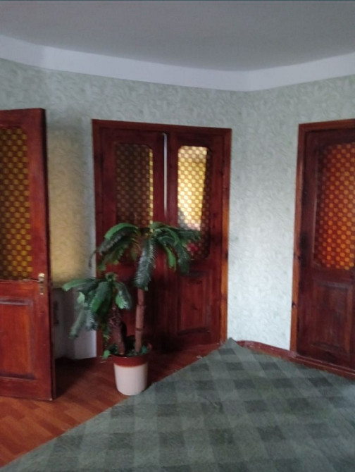 Предлагается к продаже частный дом в Троицком Новотроїцьке (Любашівський район) - фото 4