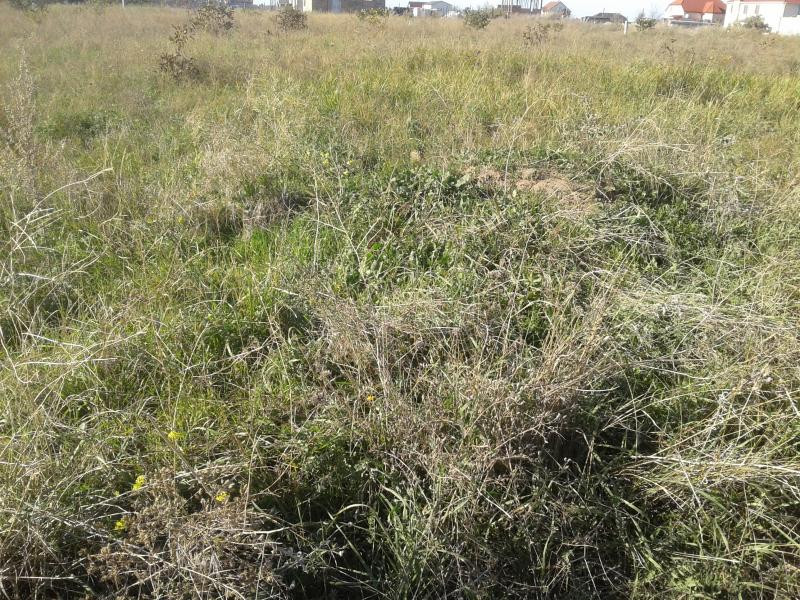 Продаж земельної ділянки 0 соток на Массив 10, 135 Фонтанка - фото 6